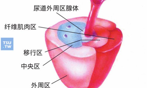 花红胶囊副作用网-分享花红胶囊的功效，花红胶囊是消炎药吗知识库